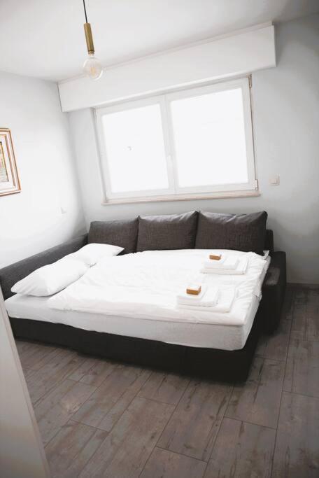 Charming Modern 2 Bedroom Apartment Alzingen Eksteriør billede